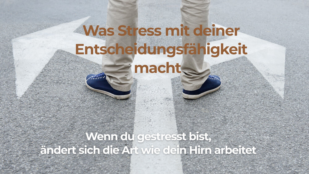 Entscheidungen im Stress? Willkommen im Karussell!